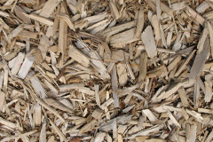 biomass boilers Buttonoak