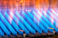 Buttonoak gas fired boilers